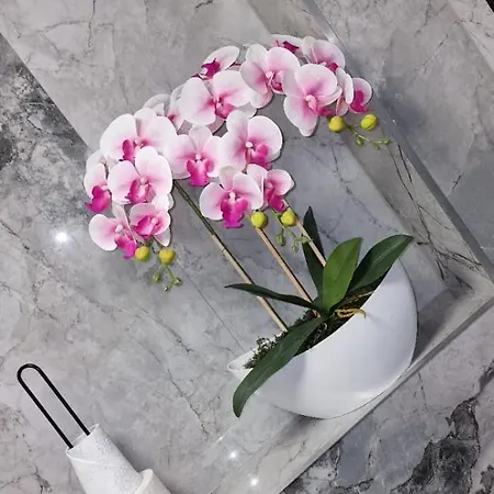 公寓 Angel 科沃布热格