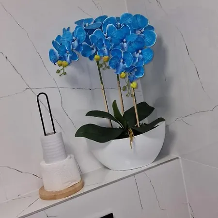 Appartement Angel Kołobrzeg